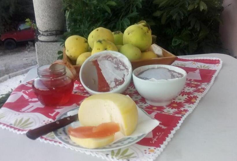 펜션 Casa Do Soito