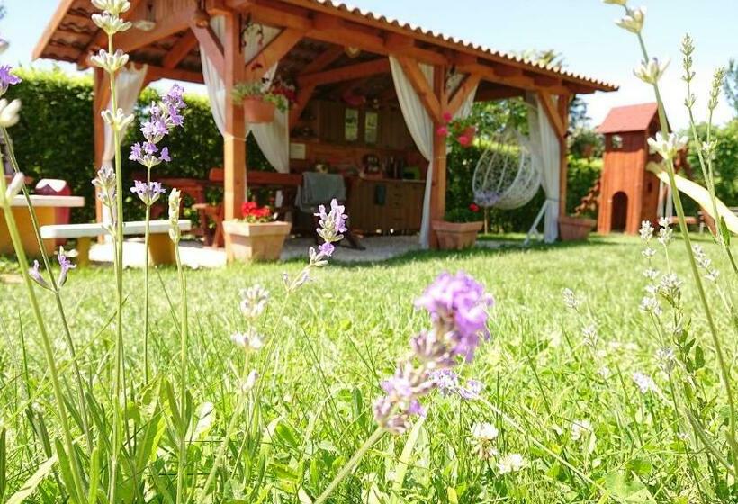 פנסיון éden Vendégház