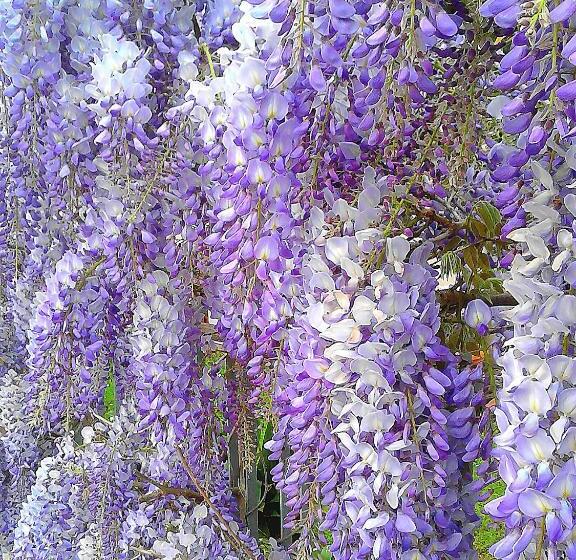 پانسیون Geoglobe Chambre D Hòtes