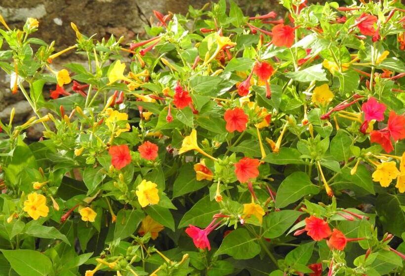 پانسیون Geoglobe Chambre D Hòtes