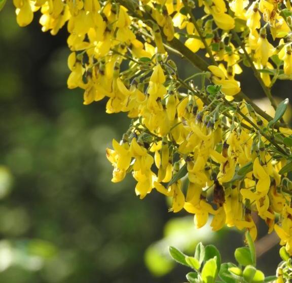 پانسیون Geoglobe Chambre D Hòtes