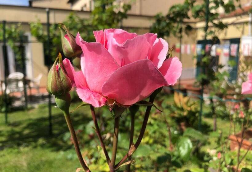 پانسیون Geoglobe Chambre D Hòtes