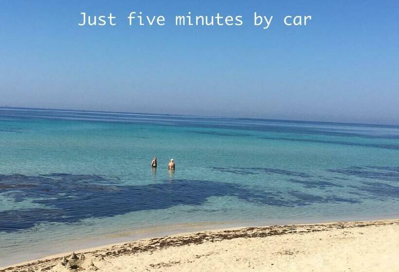 פנסיון Hibiscus