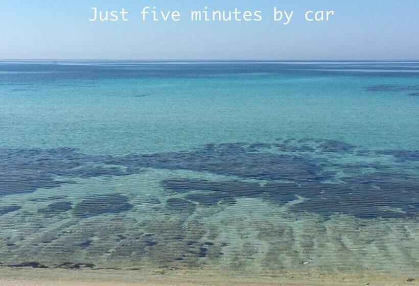 פנסיון Hibiscus