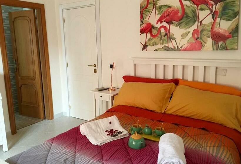 פנסיון Hibiscus