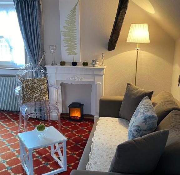 膳宿费 Historisches Gästehaus Au Faucon