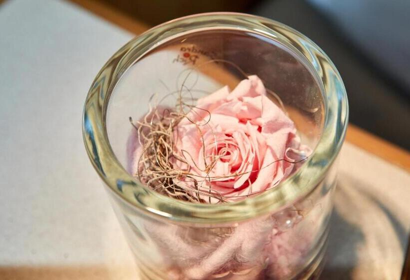 膳宿费 Historisches Gästehaus Au Faucon