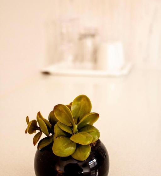 פנסיון Kelzane Self Catering