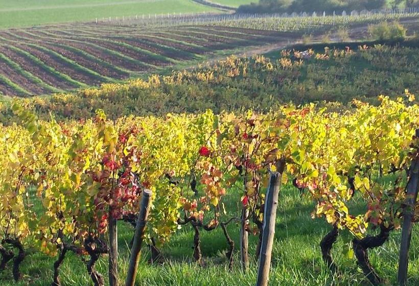 ペンション Le Kaolin