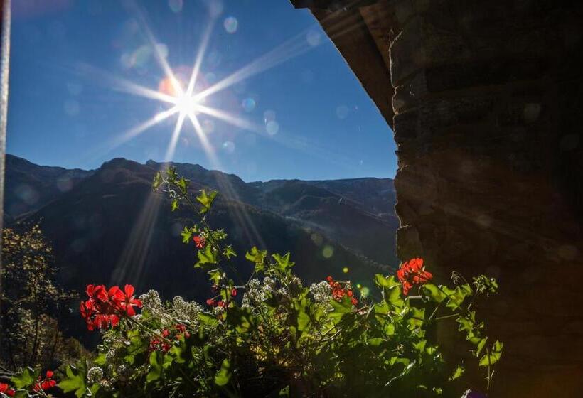 פנסיון Le Petit Coeur