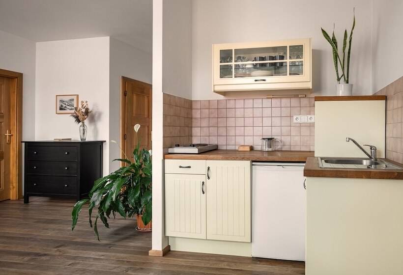 פנסיון Penzion Oloffson