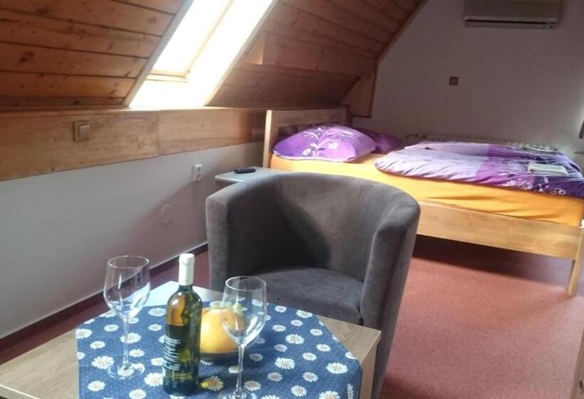 بنسيون Penzion Relax