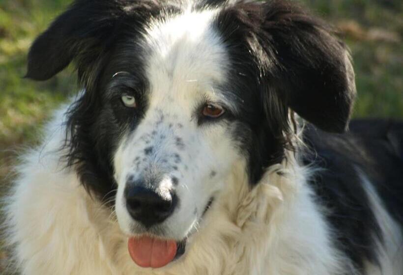 פנסיון Room @ Irissa Sanctuary