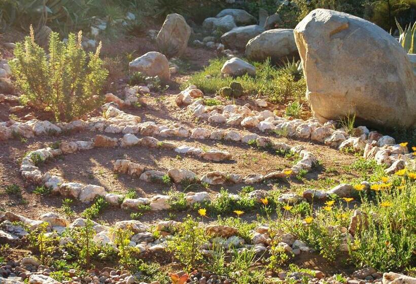 פנסיון Room @ Irissa Sanctuary