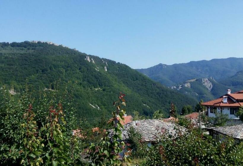 פנסיון Semana Guesthouse