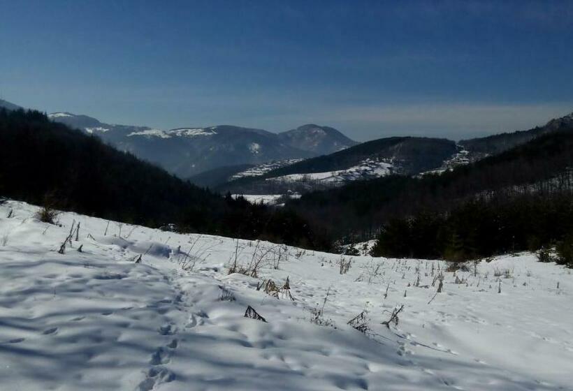 פנסיון Semana Guesthouse