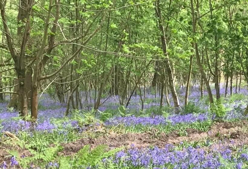 펜션 Woodmill Farm Apartment