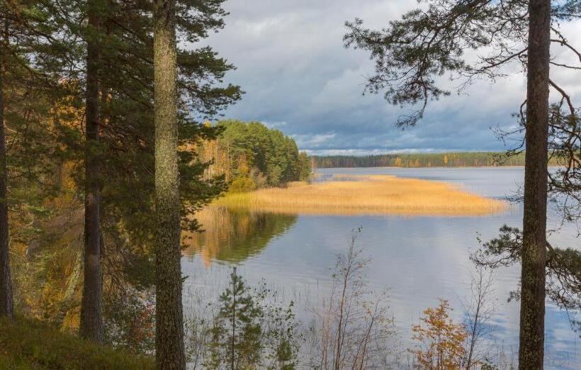 渡假胜地  Niemenharjun Matkailukeskus