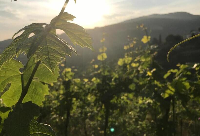 ユースホステル Locanda Al Terrazzo