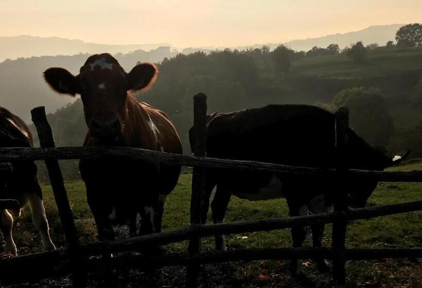 ユースホステル Locanda Al Terrazzo