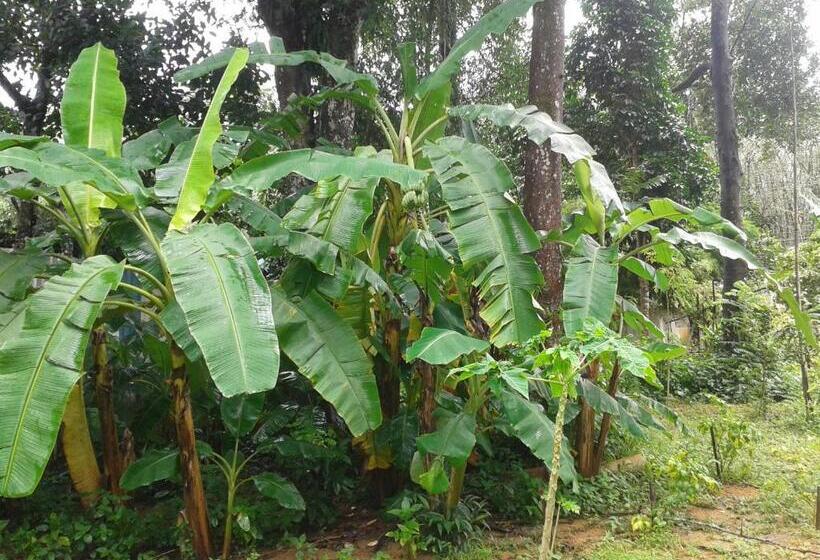 Общежитие Nananuira Apartment And Room