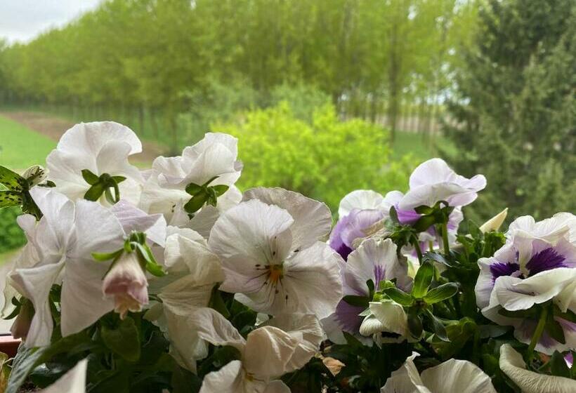 B&b Happiness In The Country