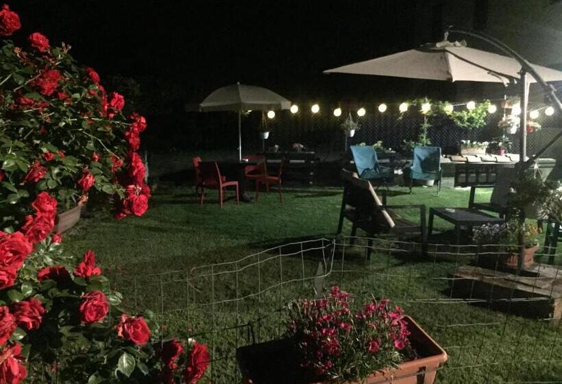 B&b Happiness In The Country