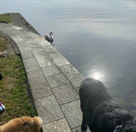 B&b La Rosa Del Lago