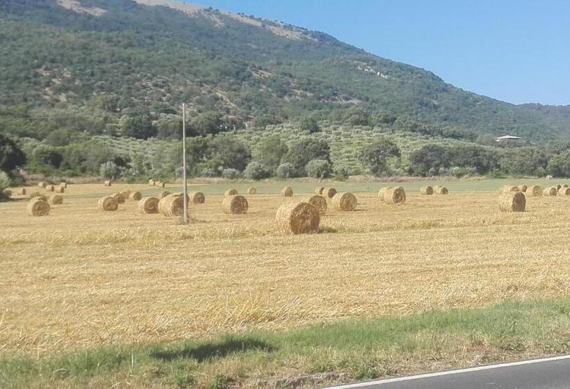 B&b Villa Di Bartolomeo