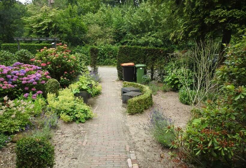 Bed and Breakfast My A Mi Go S