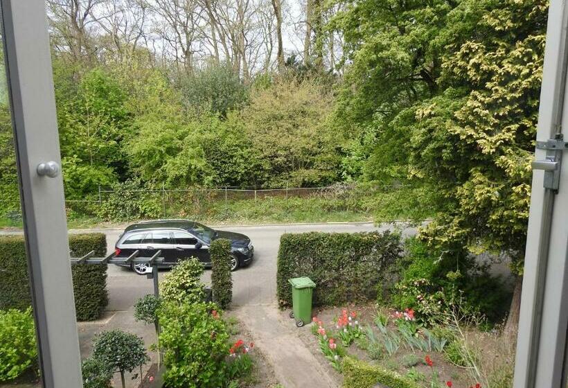 Bed and Breakfast My A Mi Go S