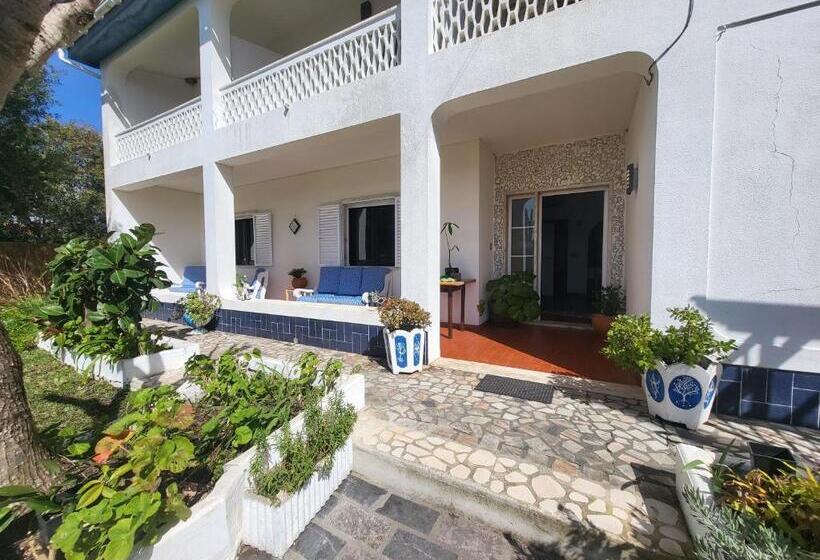 צימר Arrifana Pines