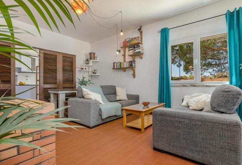 مبيت وإفطار Arrifana Pines