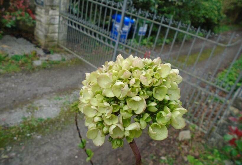 צימר Ballynona House