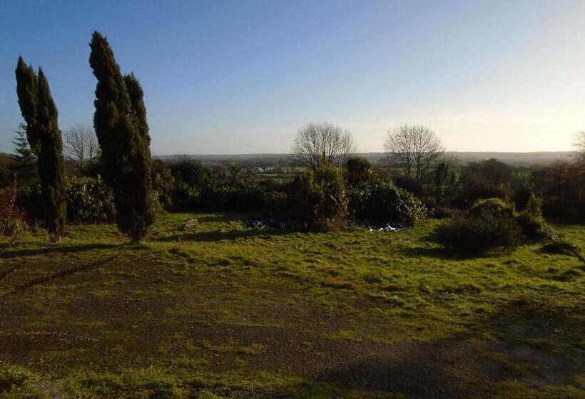 مبيت وإفطار Ballynona House