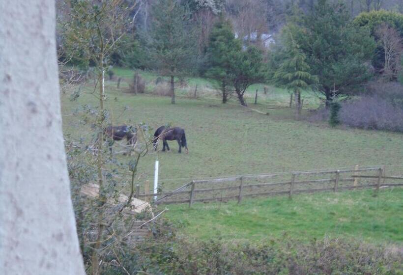 צימר Ballynona House