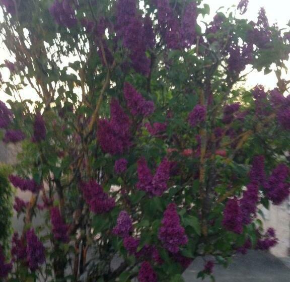 민박 Chambres D Hôtes Le Bignon Dans Les Alpes Mancelles