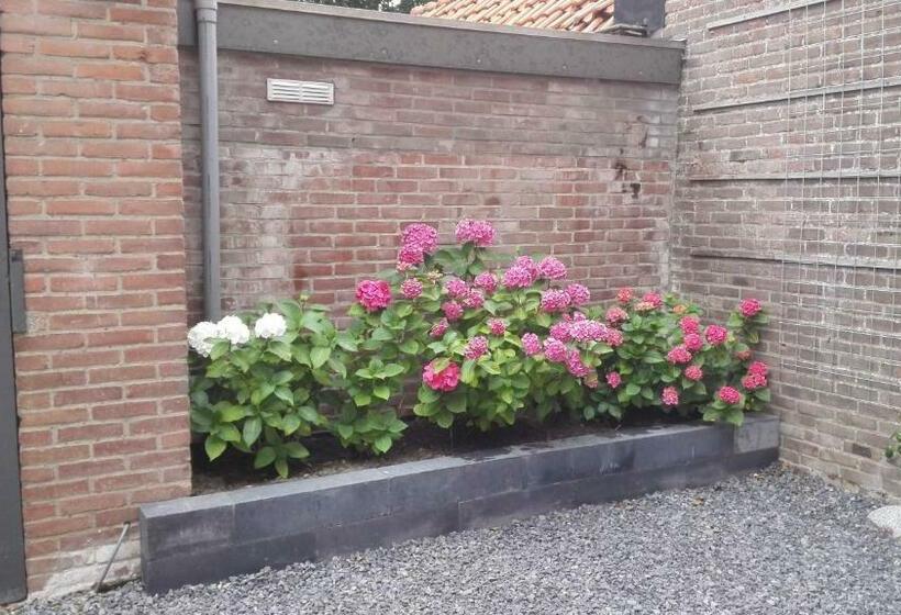 住宿加早餐 De Notenbalk Aan Zee