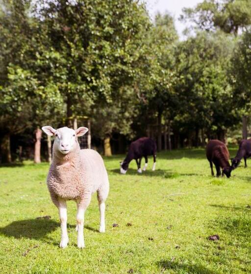 住宿加早餐  De Weide Wereld