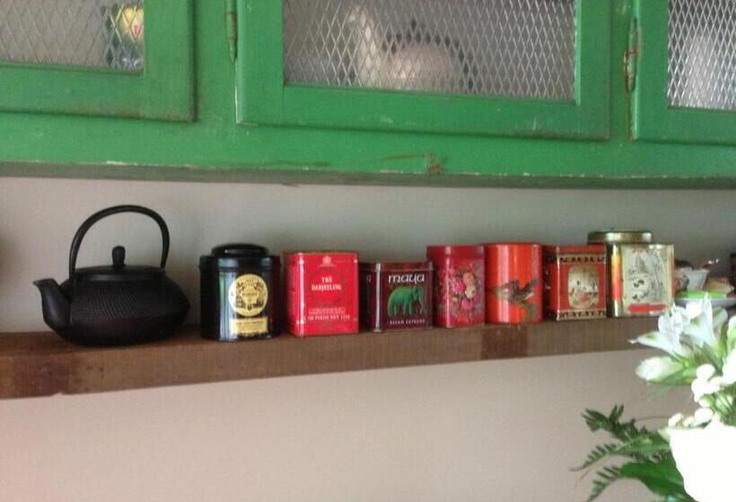 住宿加早餐  De Weide Wereld