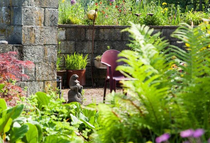 Bed and Breakfast De Wiede Blik