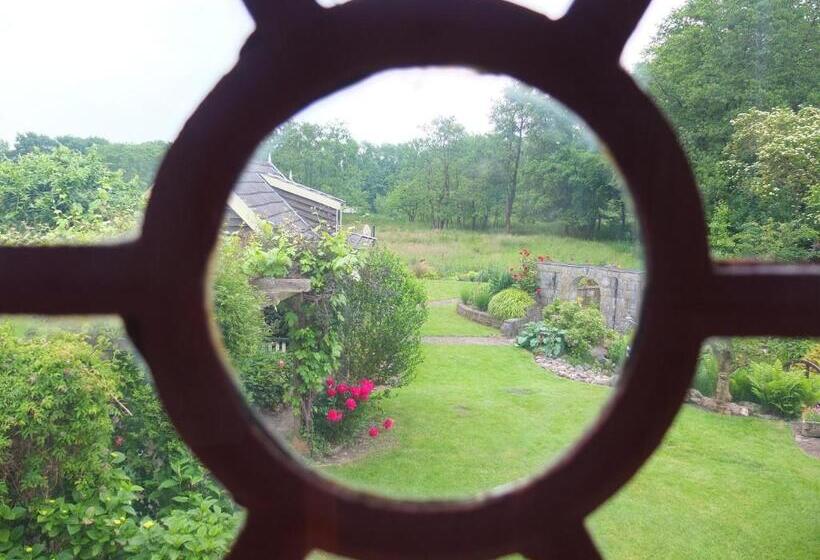 Bed and Breakfast De Wiede Blik
