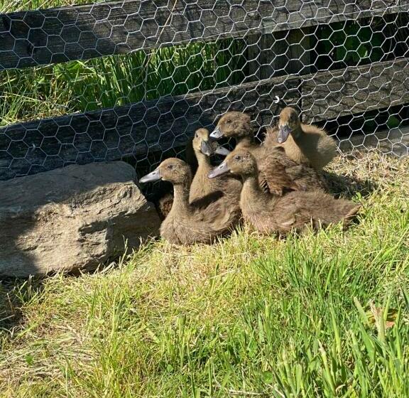민박 Garrison Of Inversnaid Farm With Hot Tub