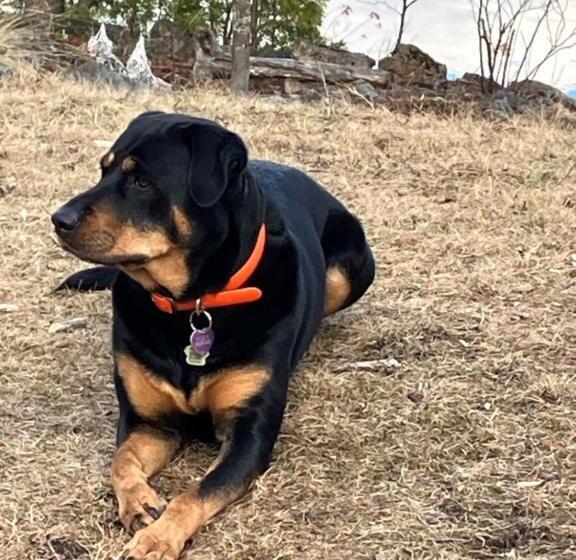 민박 Gite Du Lac Docteur