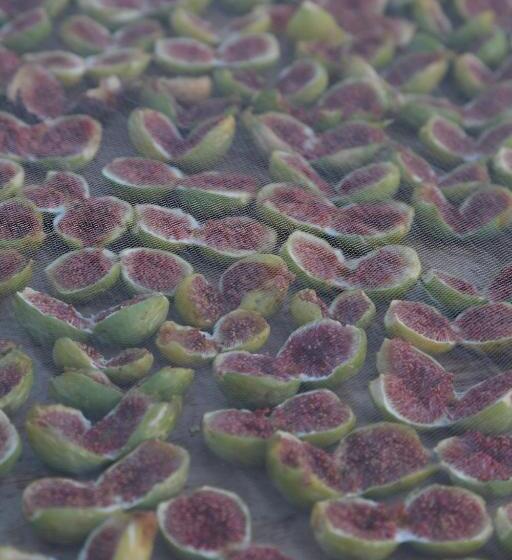 住宿加早餐 Habitans