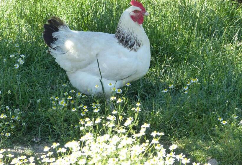 צימר Hameau Des Damayots