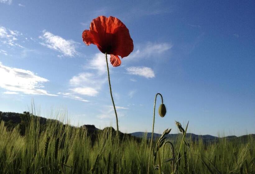 צימר I Calleri Garden And Rooms