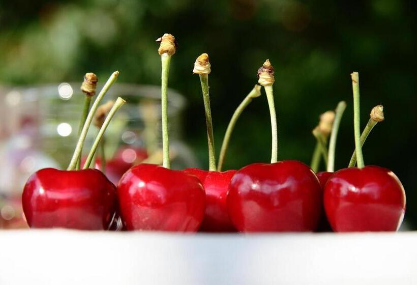 צימר I Calleri Garden And Rooms