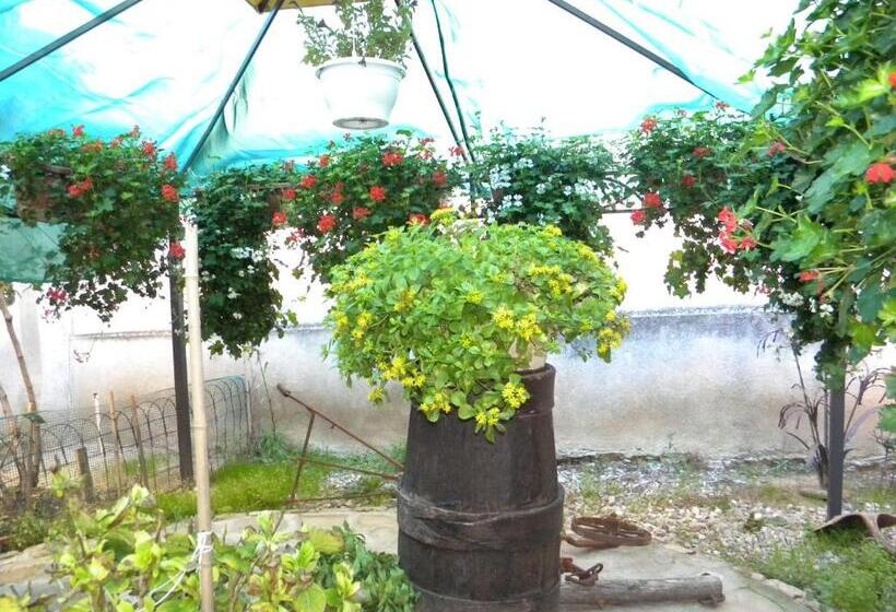 Bed and Breakfast La Casa Dellamericano   Casa D Epoca Anni  30