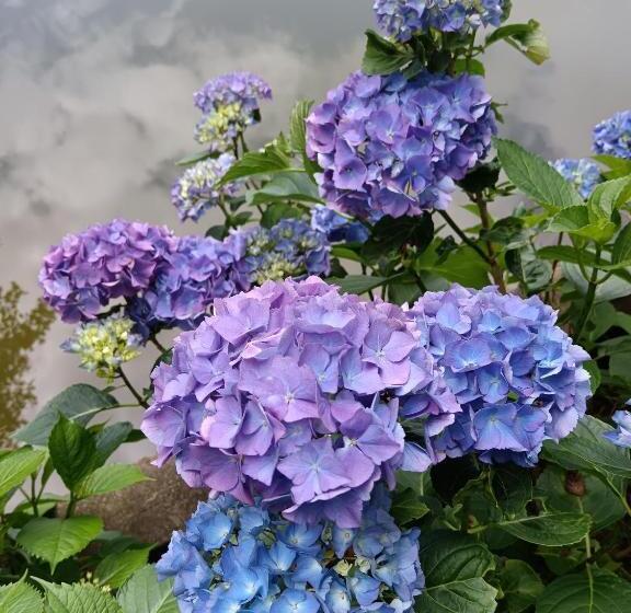 צימר Le Moulin De Saubrigues